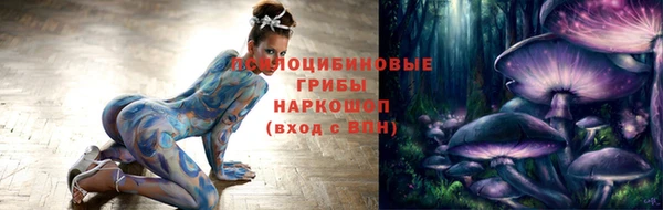 гашик Белокуриха