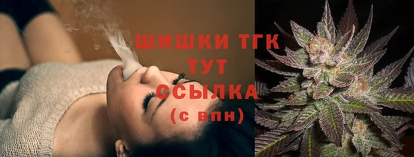 гашик Белокуриха