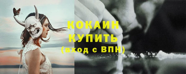 гашик Белокуриха