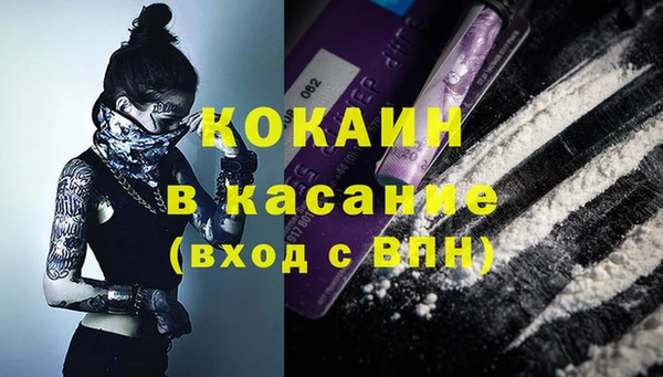 гашик Белокуриха