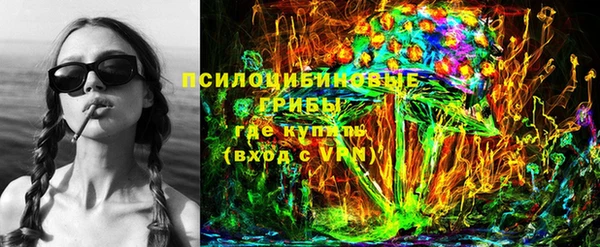 гашик Белокуриха