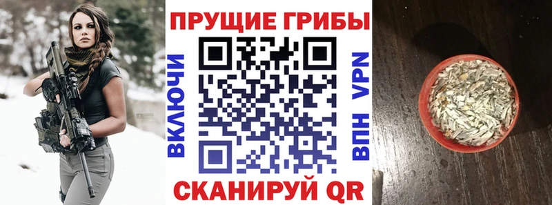 omg онион  Белебей  Галлюциногенные грибы Psilocybe 